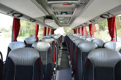 "Dolbus Trawel" Wynajem